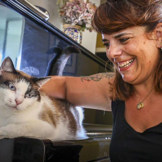 Garde d'animaux en Béarn : quelle option choisir cet été ?