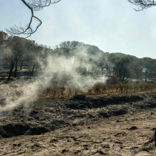 Incendie maîtrisé dans l'Hérault ; les Bouches-du-Rhône placées en vigilance rouge pour les feux de forêt