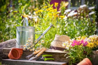 Que faire au jardin en juin ?