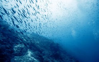 On aurait retrouvé les restes d'un océan perdu en Méditerranée