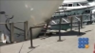 WebBuzz du 13/11/2017: Arrivée fracassante d'un bateau sur les docks de San Diego-Whale Watching Boat Crashing Into San Diego Dock