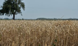 La Chine continue de s'offrir des terres agricoles en France