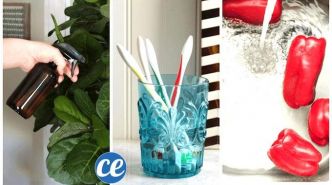 40 Utilisations Incroyables de l'Eau Oxygénée Que Tout le Monde Devrait Connaître.