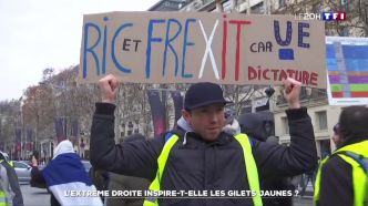 Gilets jaunes. Pour TF1, le RIC et le Frexit seraient…. des revendications d’Ultra Droite [Vidéo]