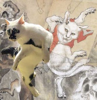 Université inspectée | Missiles déployés| Buzz : un chat démon
