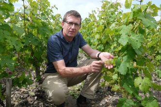 [PRIMEURS] Antoine Médeville : trois pièges à éviter pour réussir le millésime