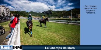 Les entrées pour la 4e journée de la saison hippique 2019