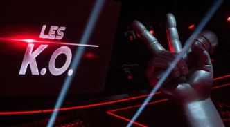 Audiences TV: «The Voice» perd des voix, Laurent Ruquier vide la piste avec sa «Surprise party» sur France 2