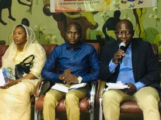 E-commerce au Tchad : comprendre son importance dans l’économie et dans l’entrepreneuriat