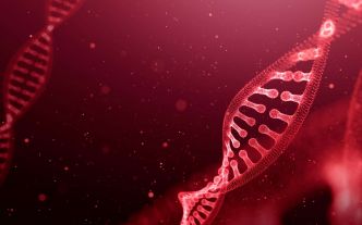 Crispr : une déchiqueteuse à ADN testée sur des cellules humaines