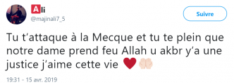 Aljazeera : les anti-chrétiens se réjouissent de la destruction de Notre Dame de Paris