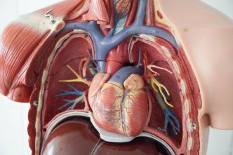 Une femme à vécu toute sa vie avec une inversion des organes internes !