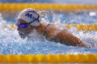 Natation - ChF - Championnats de France : Wattel, Aubry et Joly dans le ton