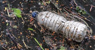 Transportés par le vent, les microplastiques se trouvent même dans les régions les plus reculées