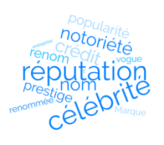 Gestion de réputation E-Réputation, Protéger son image sur internet