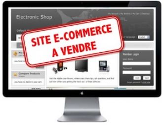 ▷ Evaluer le prix d'un site e-commerce avant de le racheter