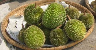Le durian – Safarine Tours