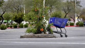 Une opportunité pour accélérer la transition écologique