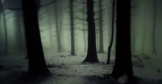 Tous les chemins mènent à un hiver sombre