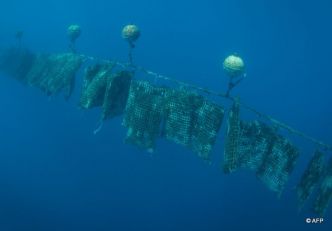 Pollution perlicole, comment les populations l'appréhendent ?