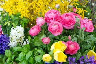 12 fleurs de printemps pour le jardin
