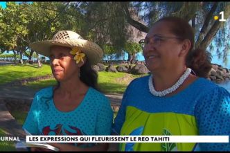 "Na tatou tera" : 1 200 expressions tahitiennes