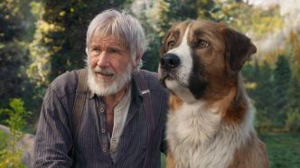 Regarder L'appel De La Forêt Film complet en ligne gratuit