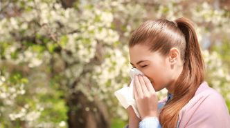 Comment survivre aux allergies aux pollens et rhume des foins ? | Docteur-Fitness.com