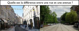 Quelle est la différence entre une rue et une avenue ?