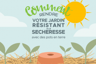 Comment Rendre Votre Jardin Résistant à la Sécheresse | Jardin | Remèdes de Grand-Mère