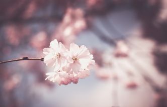 Assurance-vie : tout savoir et ouvrir le bon contrat - Guide 2021