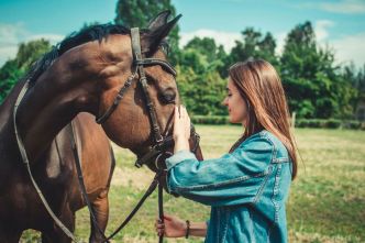 Zoothérapeute : tout savoir sur l'expert de la médiation animale