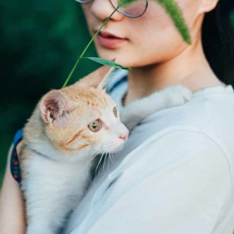 Comment faire un don à une association pour la défense des animaux ?