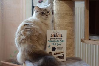 Ça veut dire quoi quand mon chat fait ça ? Notre avis sur ce livre !