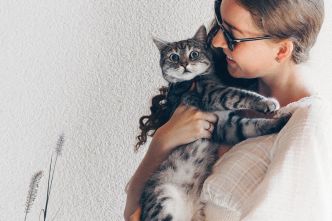 Êtes-vous fan de chats ? Vous êtes peut-être ailurophile !