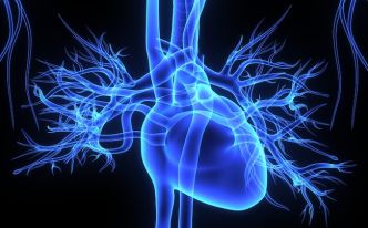 Imagerie médicale: le Français Imageens lève 1,2 million d'euros auprès d'Anaxago