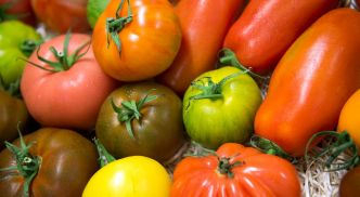 Le catalogue officiel des variétés, qu'est-ce que c'est ?