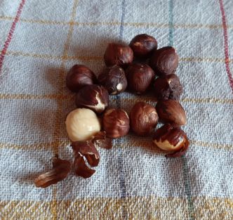 Comment torréfier des noisettes au four et les monder ? La bonne recette !
