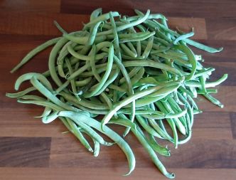 Comment congeler des haricots verts frais du jardin ? La bonne méthode !