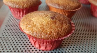 RECETTE DE MUFFINS AUX GRIOTTES ET PÉPITES DE CHOCOLAT !