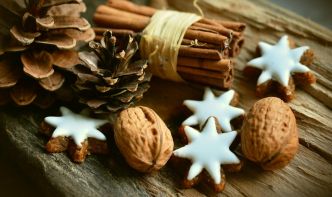 Recettes de gâteaux et biscuits de Noël. Gâteaux et biscuits pour Noël