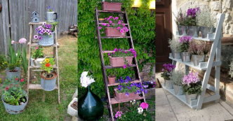 Des idées étonnantes avec des échelles en bois dans le jardin !