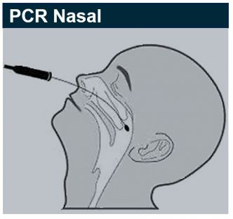 Les tests PCR inefficaces et dangereux