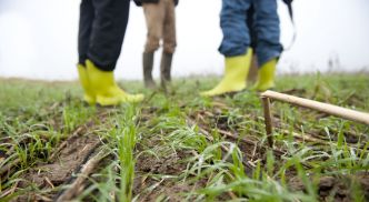 Les programmes pluriannuels du développement agricole et rural 2022-2027 (PNDAR)