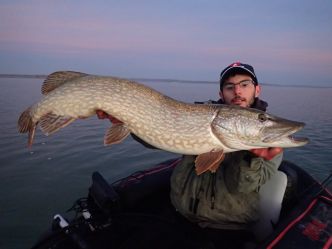 La pêche du brochet au leurre souple, mieux qu’une alternative