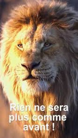 Rien ne sera plus comme avant?! ( La Bonne Semence )