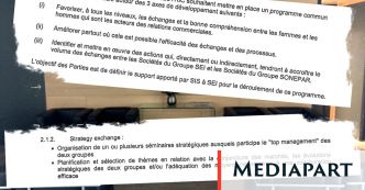 L'évasion fiscale suisse des géants français du matériel électrique
