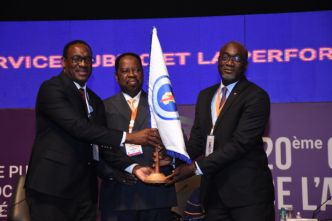 PERSPECTIVES DES SOCIETES D'ELECTRICITE EN AFRIQUE : Les douze travaux d'Hercule