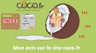 Avis Coco Chat Land avec un test pour découvrir l'arnaque du tchat
