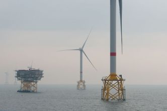 Parc éolien en mer entre Dieppe et Le Tréport : le Conseil d'Etat donne son feu vert et déboute les associations de protection de l'environnement